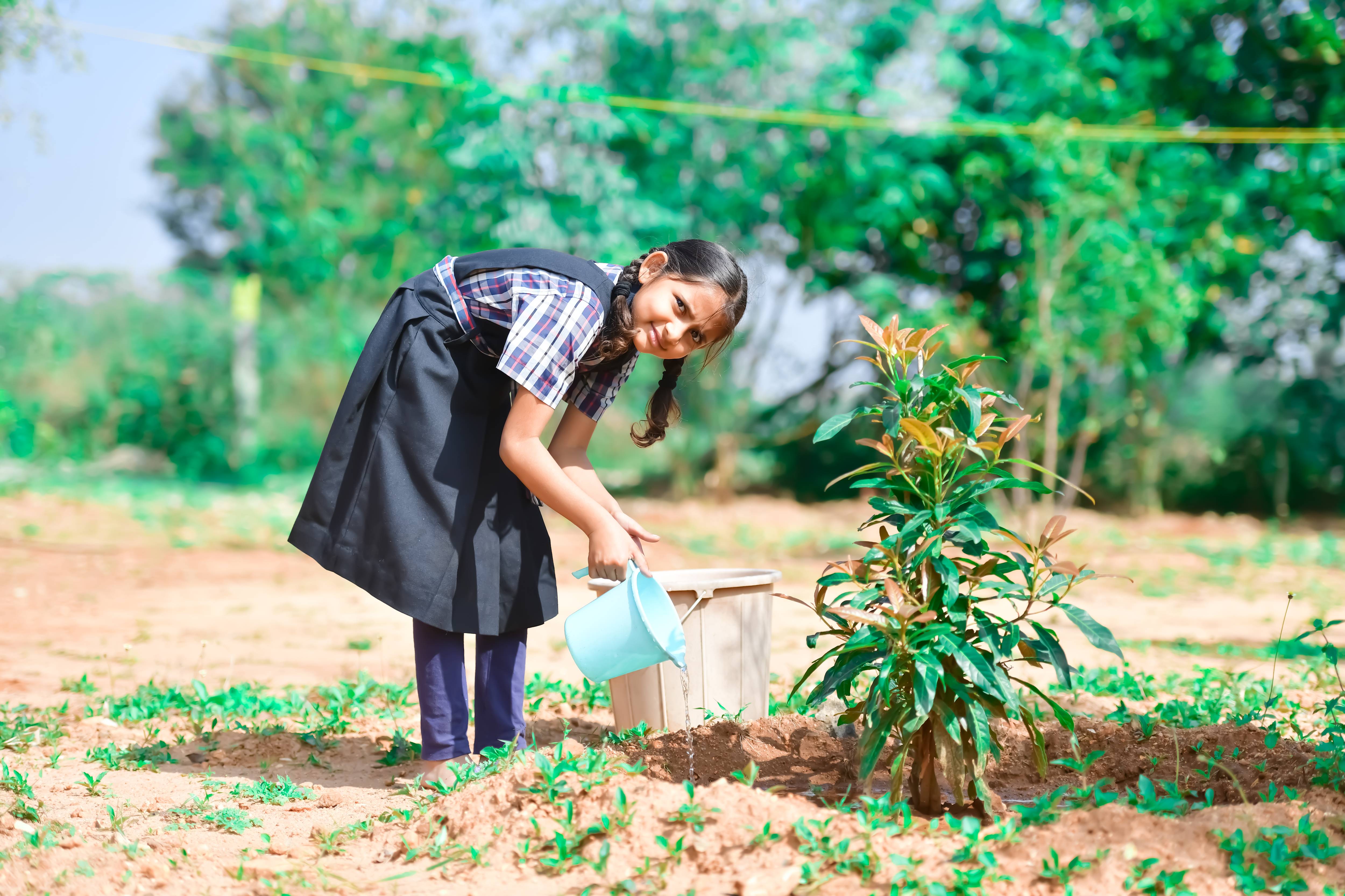 Sishya School Hosur